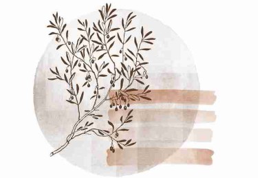 “我看傻了！”每日大赛在线免费观看画风突变引热议（392 ）